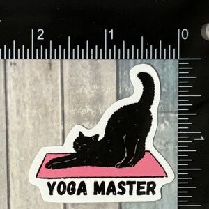 🌀10/$10🌀 Cute Black Cat Reusable Waterproof Vinyl Sticker Decal